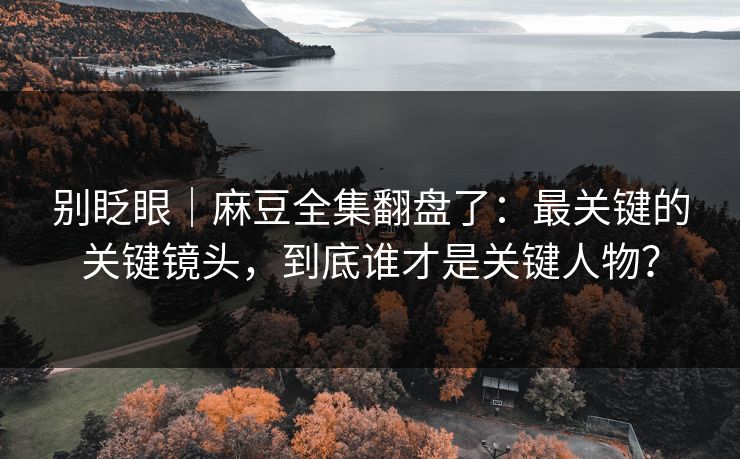 别眨眼|麻豆全集翻盘了:最关键的关键镜头,到底谁才是关键人物? 别眨眼|麻豆全集翻盘了:最关键的关键镜头,到底谁才是关键人物?
